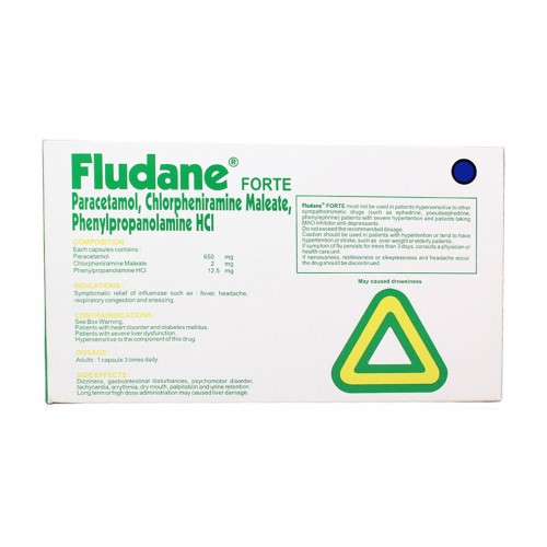 FLUDANE FORTE BOX 100 KAPSUL
