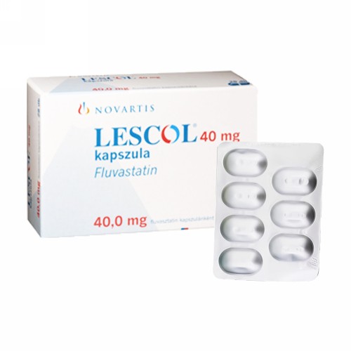 LESCOL 40 MG KAPSUL