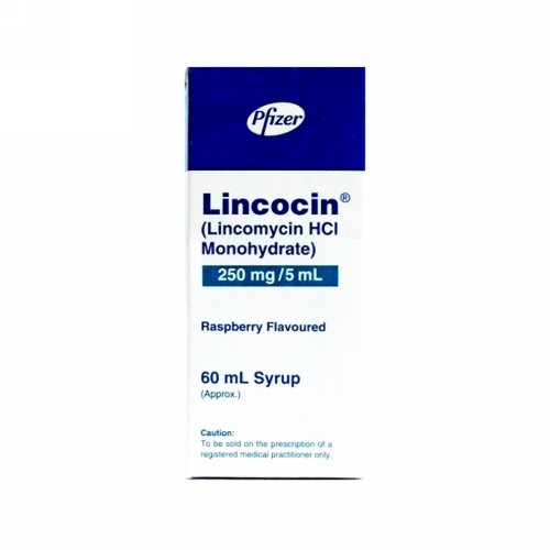 LINCOCIN 60 ML SIRUP
