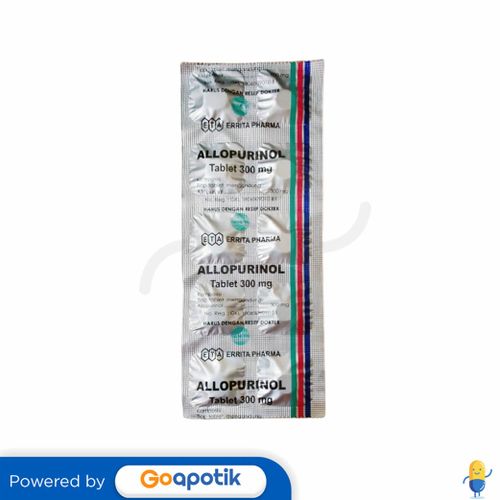 ALLOPURINOL ERRITA 300 MG STRIP 10 TABLET