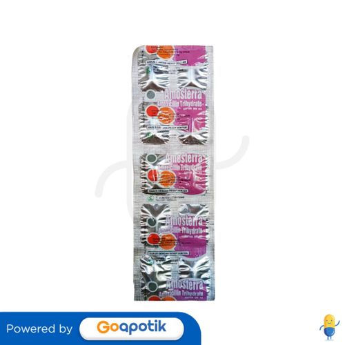 AMOSTERRA 500 MG KAPLET