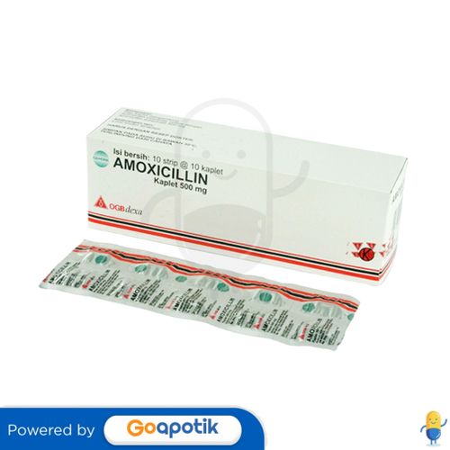 AMOXICILLIN TRIHYDRATE OGB DEXA MEDICA 500 MG BOX 100 KAPLET