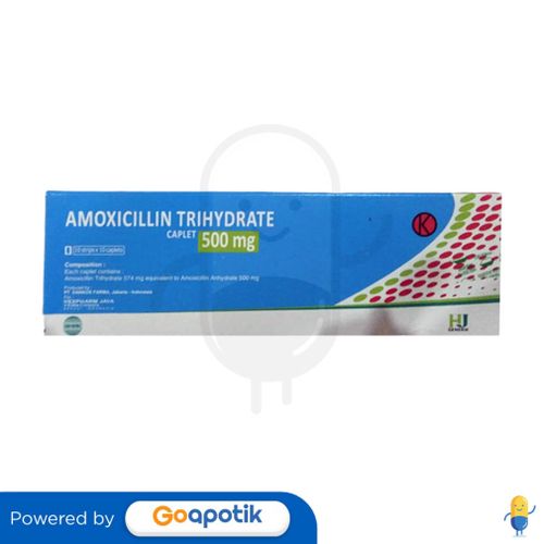 AMOXICILLIN HEXPHARM 500 MG BOX 100 KAPLET