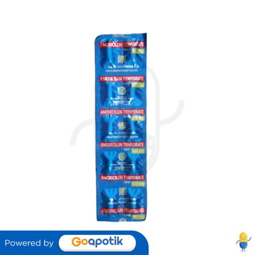 AMOXICILLIN HEXPHARM 500 MG STRIP 10 KAPLET