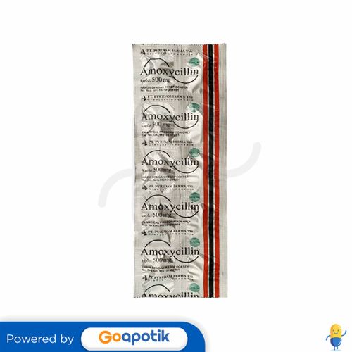 AMOXICILLIN TRIHYDRATE PYRIDAM 500 MG STRIP 10 KAPLET