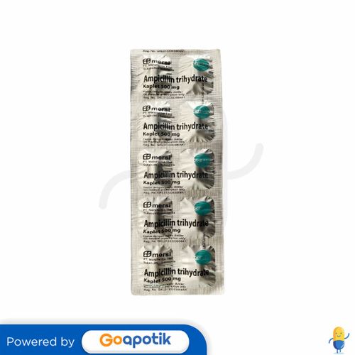 AMPICILLIN TRIHYDRATE MERSIFARMA 500 MG STRIP 10 KAPLET Kegunaan, Efek Samping, Dosis dan