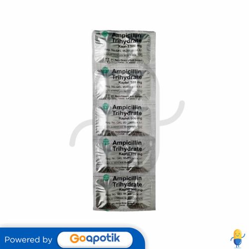 AMPICILLIN TRIHYDRATE RAMA 500 MG KAPLET