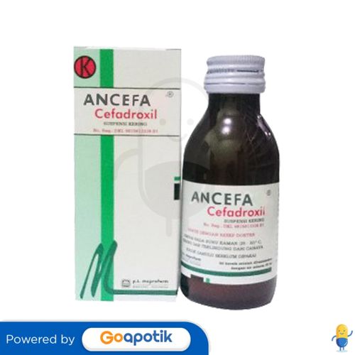 ANCEFA FORTE 250 MG/5 ML DRY SYRUP 60 ML