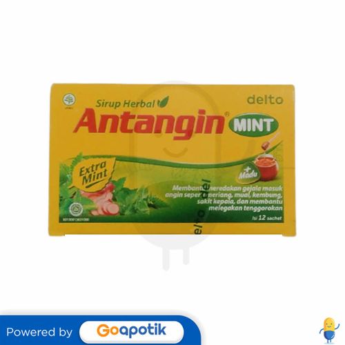 ANTANGIN CAIR MINT 15 ML BOX 12 SACHET