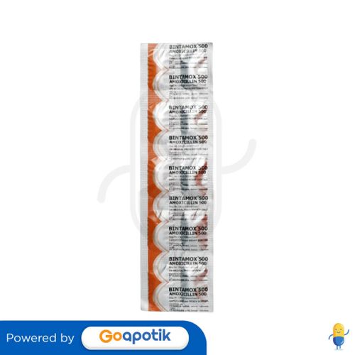 BINTAMOX 500 MG KAPLET