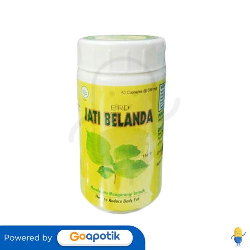 BRD JATI BELANDA BOTOL 60 KAPSUL