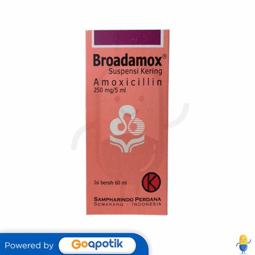 BROADAMOX 250 MG/5 ML DRY SYRUP 60 ML