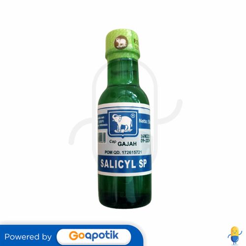 CAP GAJAH SALICYL SP 50 ML BOTOL KACA