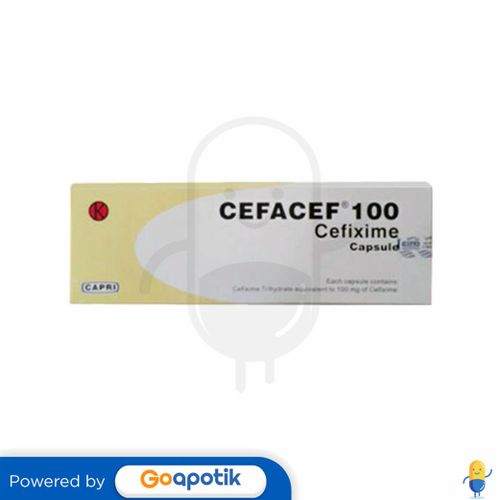 CEFACEF 100 MG KAPSUL BOX