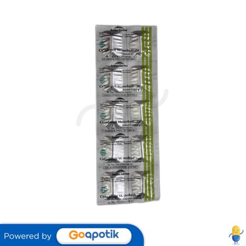 CEFADROXIL MONOHYDRATE KIMIA FARMA 500 MG KAPSUL