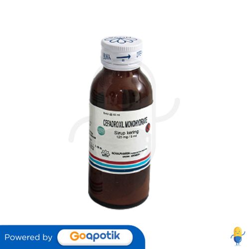 CEFADROXIL MONOHYDRATE NOVAPHARIN 125 MG/5 ML DRY SYRUP 60 ML