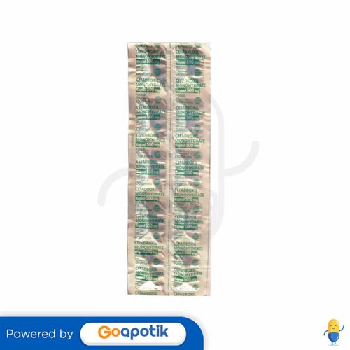 CEFADROXIL MONOHYDRATE OGB BETA 500 MG STRIP 10 KAPSUL