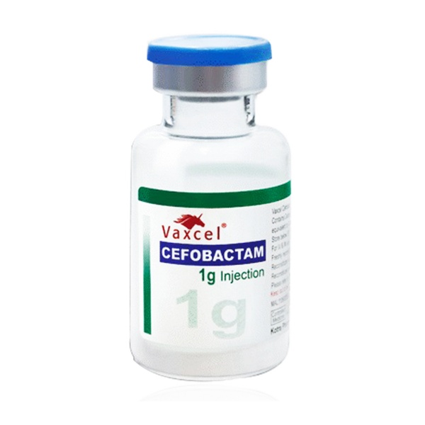 cefobactam-1-gram-injeksi
