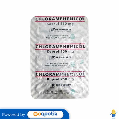 CHLORAMPHENICOL BERNOFARM 250 MG KAPSUL