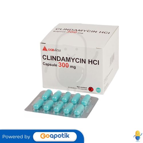 CLINDAMYCIN HCL OGB DEXA MEDICA 300 MG BOX 100 KAPSUL