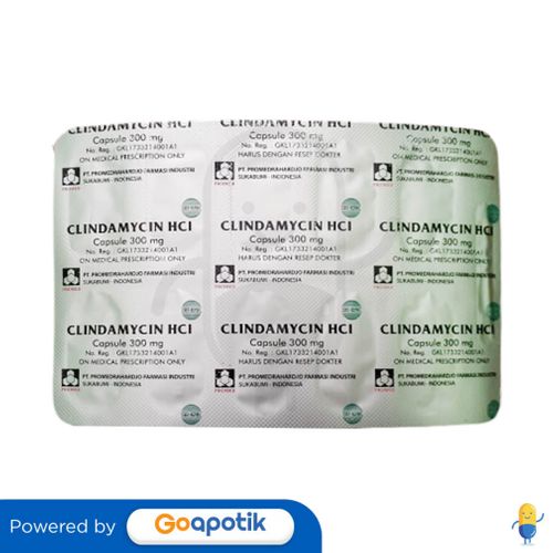 CLINDAMYCIN HCL PROMEDRAHARDJO 300 MG STRIP 10 KAPSUL