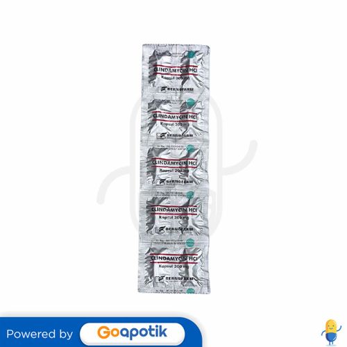 CLINDAMYCIN HCL BERNOFARM 300 MG STRIP 10 KAPSUL