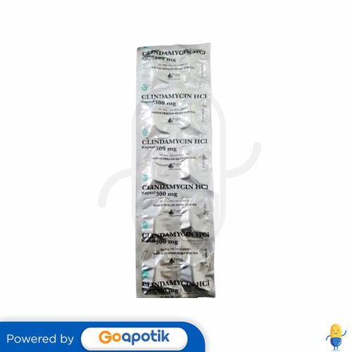 CLINDAMYCIN HCL PYRIDAM 300 MG STRIP 10 KAPSUL