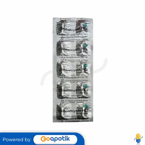 Clindamycin Hcl Rama 300 Mg Kapsul Kegunaan Efek Samping Dosis Dan