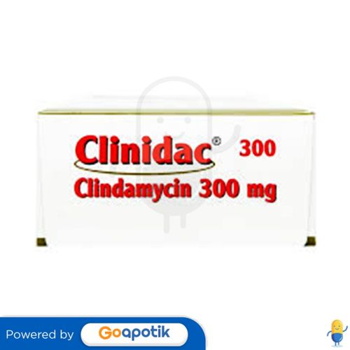 CLINIDAC 300 MG KAPSUL BOX