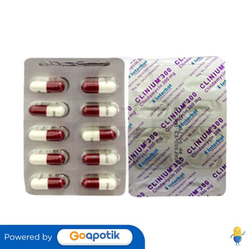 CLINIUM 300 MG KAPSUL