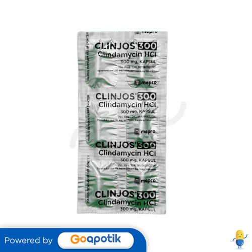 CLINJOS 300 MG KAPSUL