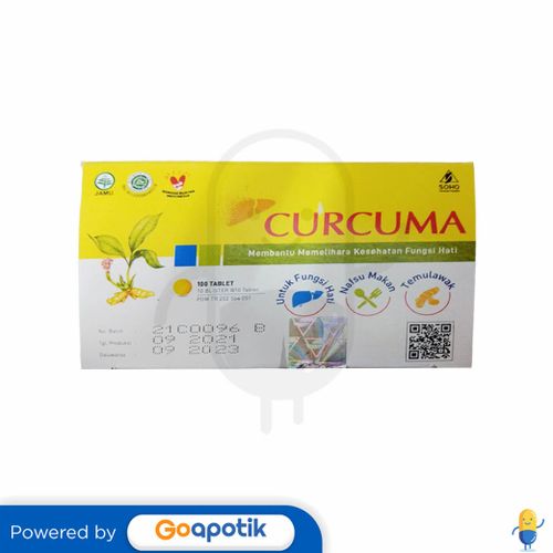 CURCUMA BOX ISI 100 TABLET