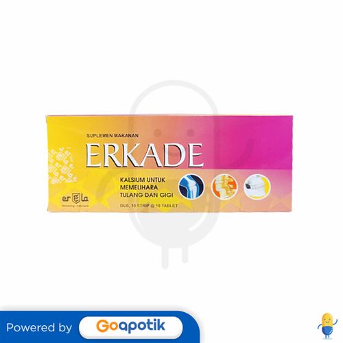 ERKADE BOX ISI 100 TABLET