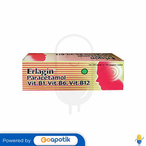 ERLAGIN BOX ISI 100 KAPLET