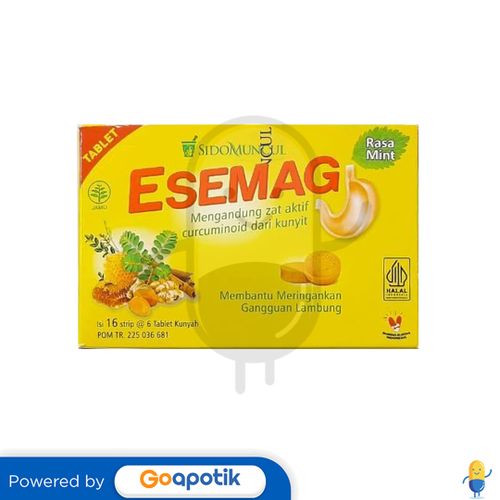 ESEMAG SIDOMUNCUL BOX 96 TABLET