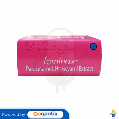 FEMINAX BOX ISI 100 TABLET