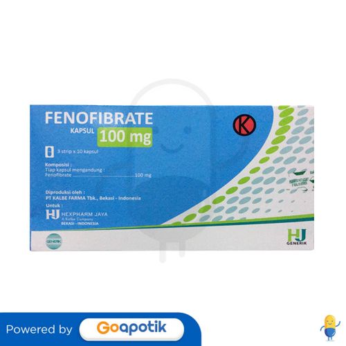 FENOFIBRATE HEXPHARM 100 MG BOX 30 KAPSUL