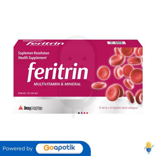 FERITRIN BOX ISI 30 KAPLET