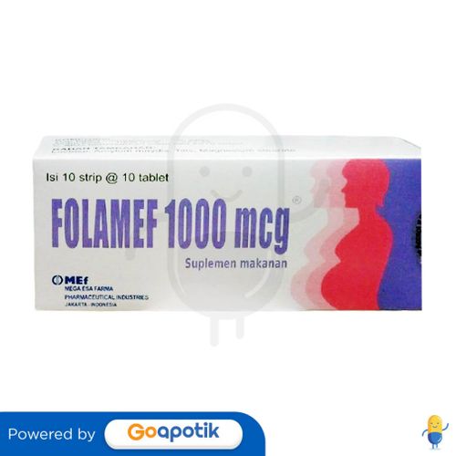 FOLAMEF 1000 MCG BOX 100 TABLET