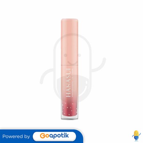 HANASUI MATTEDORABLE LIP CREAM 04 CHIC 4 GRAM