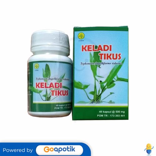 HERBAL INSANI KELADI TIKUS BOTOL 40 KAPSUL