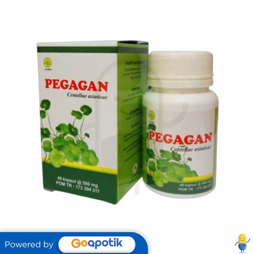 HERBAL INSANI PEGAGAN BOTOL 40 KAPSUL