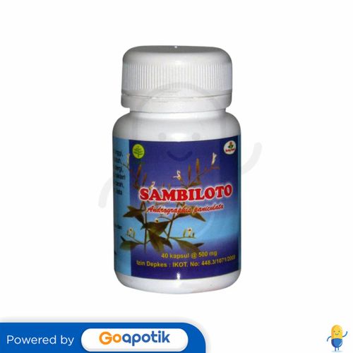 HERBAL INSANI SAMBILOTO BOTOL 40 KAPSUL