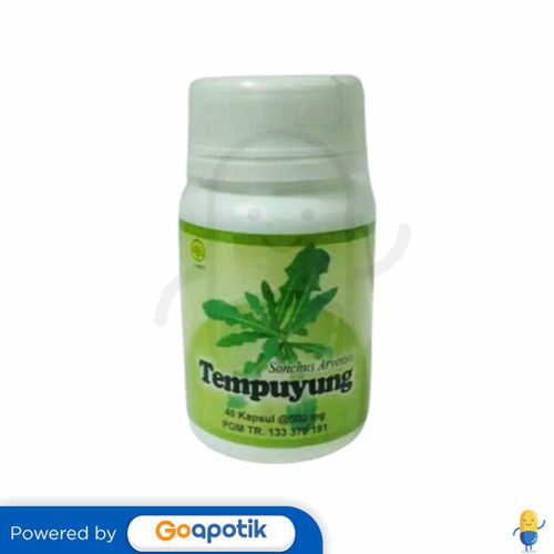 HERBAL INSANI TEMPUYUNG BOTOL 40 KAPSUL