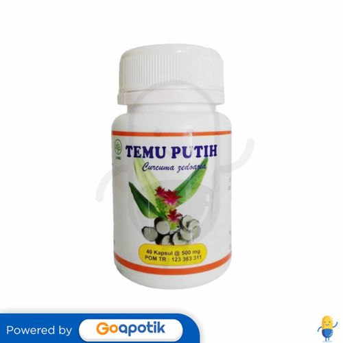 HERBAL INSANI TEMU PUTIH BOTOL 40 KAPSUL