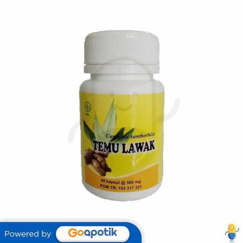 HERBAL INSANI TEMULAWAK BOTOL 40 KAPSUL