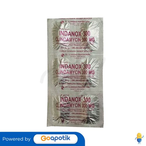 INDANOX 300 MG KAPSUL