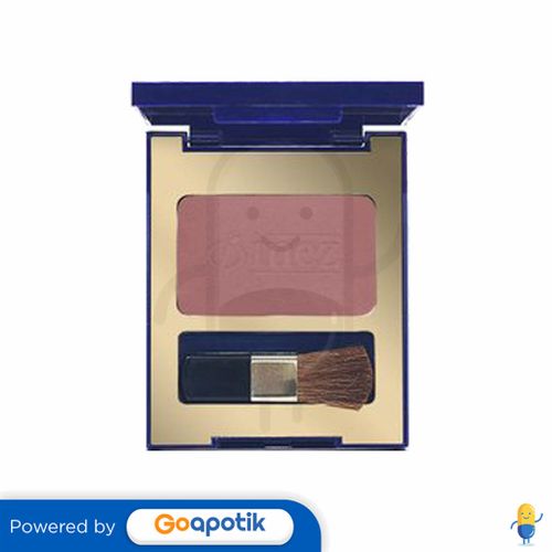 INEZ BLUSHER WITH BRUSH 05 MODEST BLUSH 6 GRAM CASE