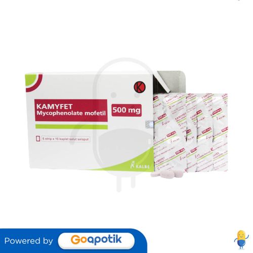 KAMYFET 500 MG BOX 60 KAPLET