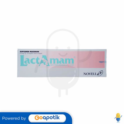 LACTAMAM BOX ISI 60 KAPLET